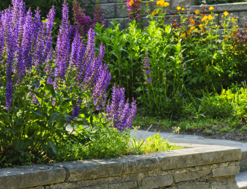 Native Plants for Your Region: How-to On Incorporating These Into Your Landscape
