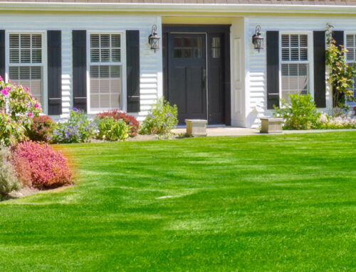 The Optimal Times for Planting Grass in New England