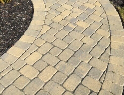 Hardscape Highlights: Exploring Materials and Designs for Paths, Patios, and Retaining Walls